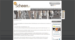 Desktop Screenshot of descheen.nl